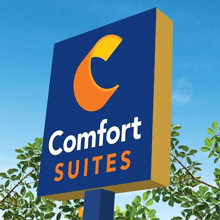 קלוביס Comfort Suites מראה חיצוני תמונה